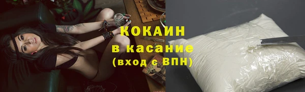 spice Богданович