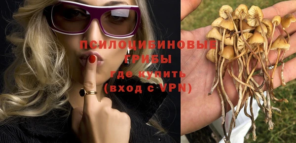 СК Богородицк