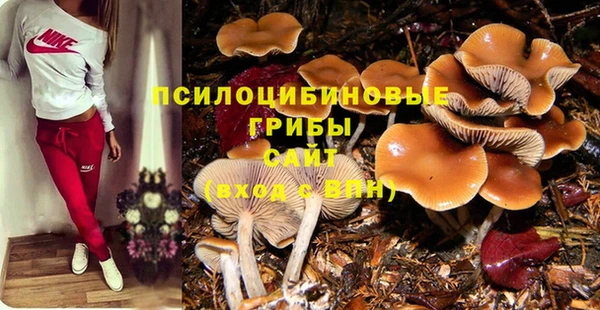 СК Богородицк