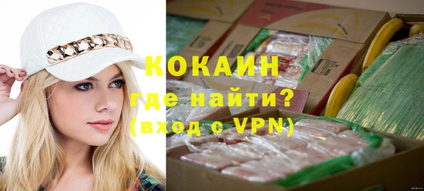 spice Богданович